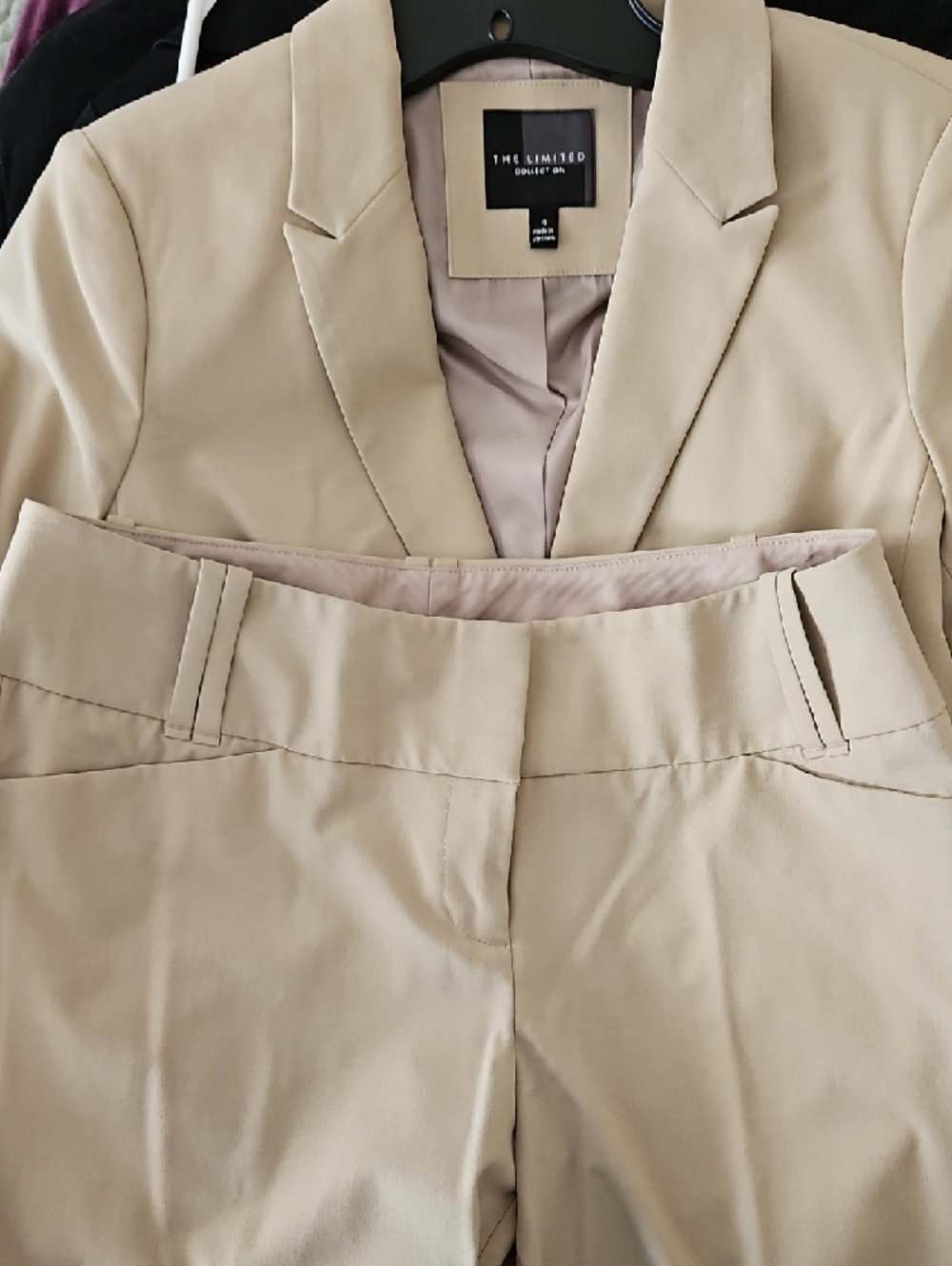 The Limited Beige Women's Tailored Two-Button Blazer and Pant Set - Picture 4 of 5